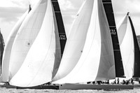 03102020-_OAL9761