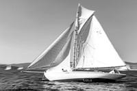 24092021-_OLA2398