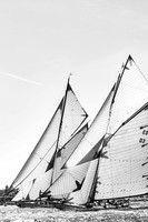 02102007-_AL_1952