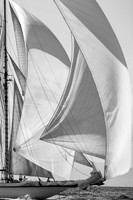 01102014-_OAL1973